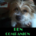 BenPham.org - Companion