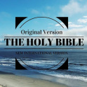 Biblia NVI Versión libre