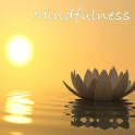 Mindfulness Frases y Audios