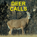 Deer Calls & Deer Hunting Call