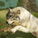 Juego de supervivencia de caza de animales - Wolf