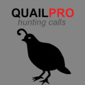 Quail Hunting Calls