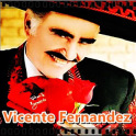 Vicente Fernandez - Canciones