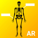 Human Anatomy AR - Anatomia Humana RA - HUANAR