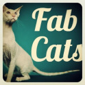 Fab Cats sounds videos photos