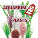 Aquarium Plants Free