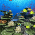 Coral Reef of Kerama Trial