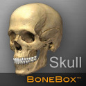 BoneBox™