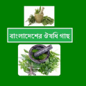Bangladeshi Herbal Treatment