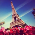 Paris Wallpaper,Theme