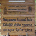 Wildlife Sri Lanka - Wasgamuwa