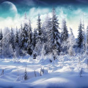 Best Winter Backgrounds