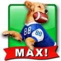Jerry Rice Dog Football: MAX!