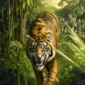 Тигры часть 3