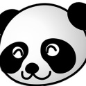 100+ Giant Panda Fun Facts!