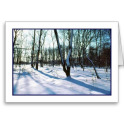 Winter Nature HD Wallpaper