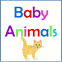 Animales bebés