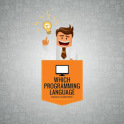 Which Programming Language