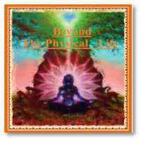 Beyond the Physical Life (1)