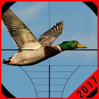 Duck Hunting Games Season 3D