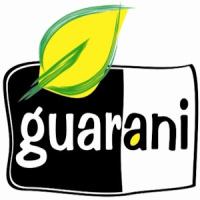 Guarani Smart for Android