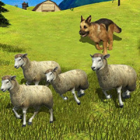 Sheep Shepherd Dog Simulator