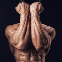 All Forearms Exercises