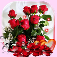 Amor rosas rojas Fondos Pantalla Animadosdos