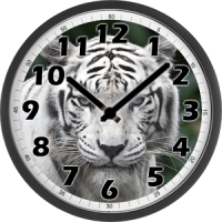 White Tiger Clock