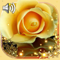 Roses Gallery Live Wallpaper