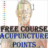 Acupuncture Points In Full Body Book