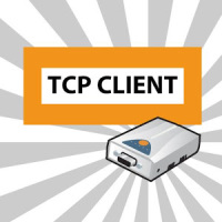 TCP 클라이언트