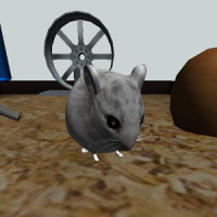 Hamster3D