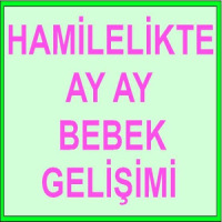 HAMİLELİK TE BEBEK GELİŞİMİ