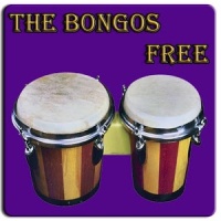 Bongo drum