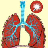 Learn Medical Terminology