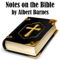 Notes on the Bible