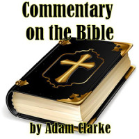Commentary on the Bible