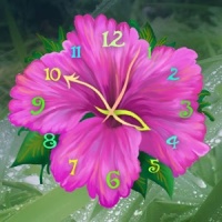 Aroma Clock 2x2