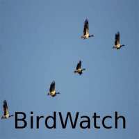 BirdWatch/バードウォッチ