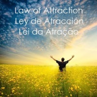 Law of Attraction Quotes &Tips