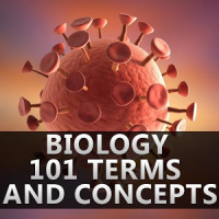 Biology 101 Terms and Concepts
