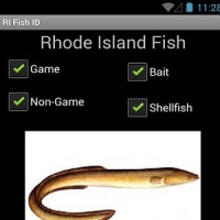 RI Fish