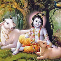 Krishna's Rhymes