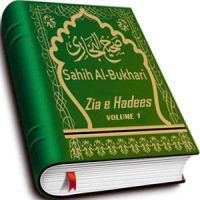 Zia e Hadees (Vol 1)