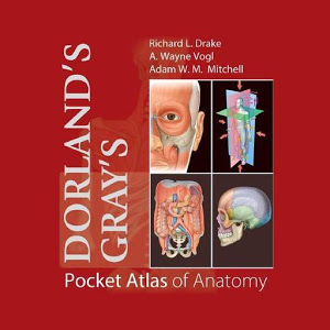 Dorland's Gray's Pocket Atlas of Anatomy
