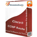 CCNP Route 300-101 Exam Sim