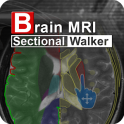 Brain MRI Sectional Wlker
