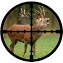 Best Deer Calls Pro HD