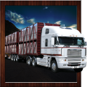 Offroad Truck Cargo Delivery Driving Simulator